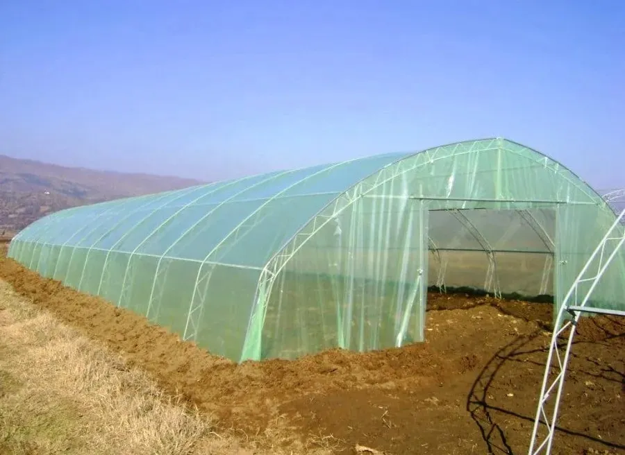Найлон 120 микрона с UV защита Зеленикав Ширина 9 метра полиетилен за покриване на оранжерии, парници и сушилни | Iguana.bg 3