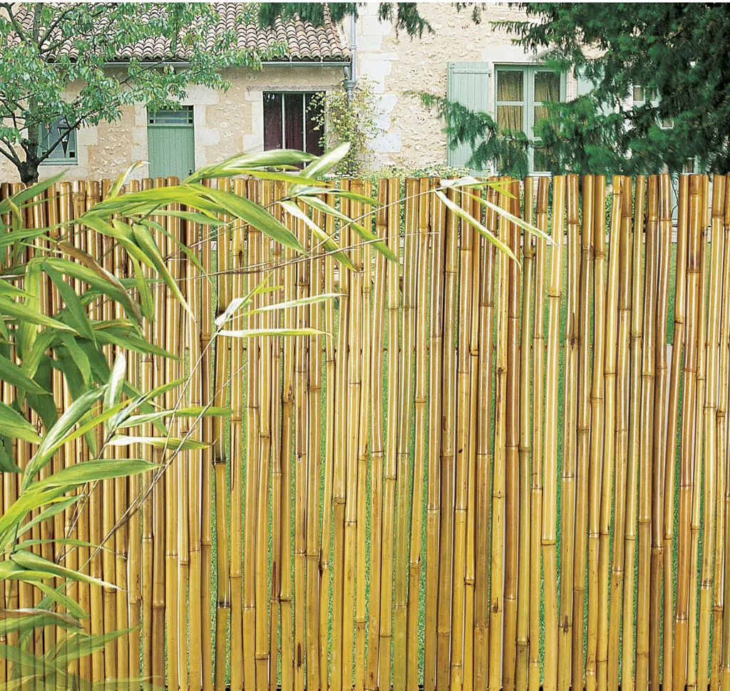 ПРОМО комплект 50 броя колчета от бамбук 210см Колчета за домати от естествен бамбук 210см кол, бамбукови пръчки 2,10м 5