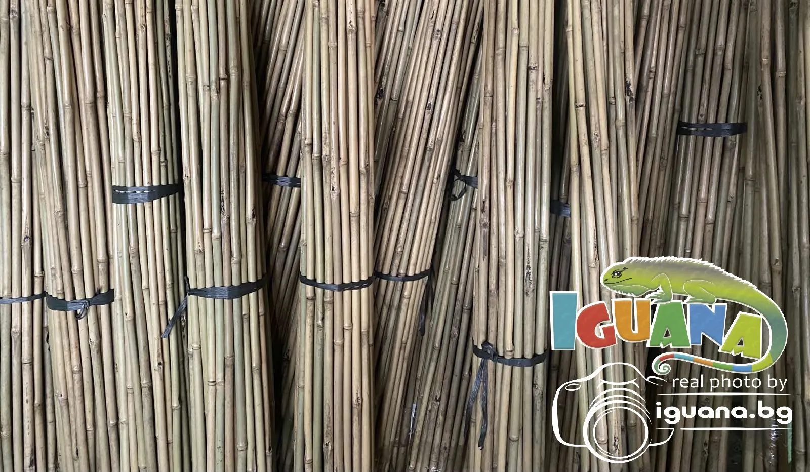 ПРОМО комплект 50 броя колчета от бамбук 210см Колчета за домати от естествен бамбук 210см кол, бамбукови пръчки 2,10м 10