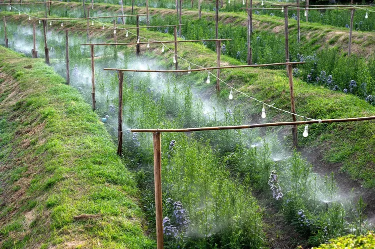 Градинска пръскачка - Водна завеса 10м, 2 в 1 поливане и охлаждане | Iguana.bg  8