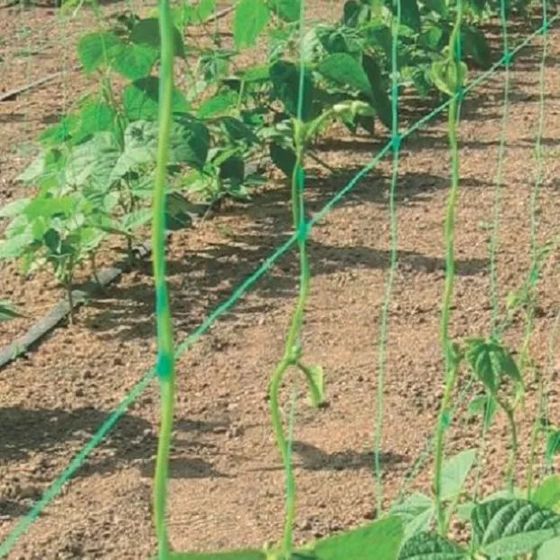 Мрежа за краставици 500м / 1,70м на ролка, UV защита, Зелена 4