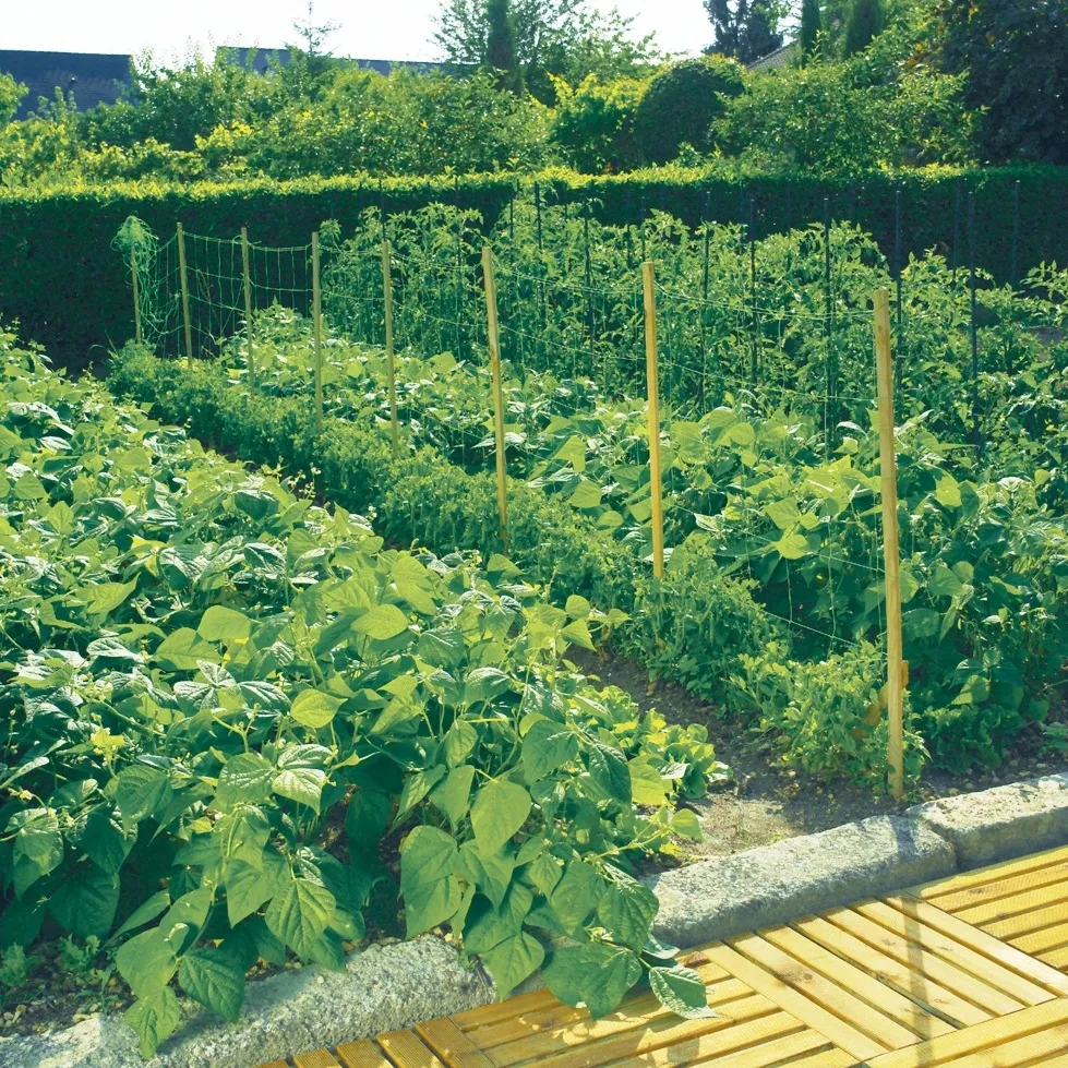 Мрежа за краставици 500м / 1,70м на ролка, UV защита, Зелена 8