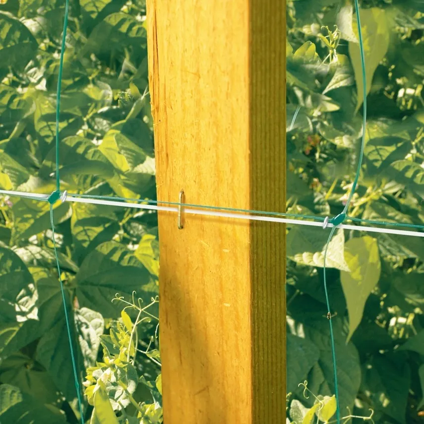 Мрежа за краставици 500м / 1,70м на ролка, UV защита, Зелена 11