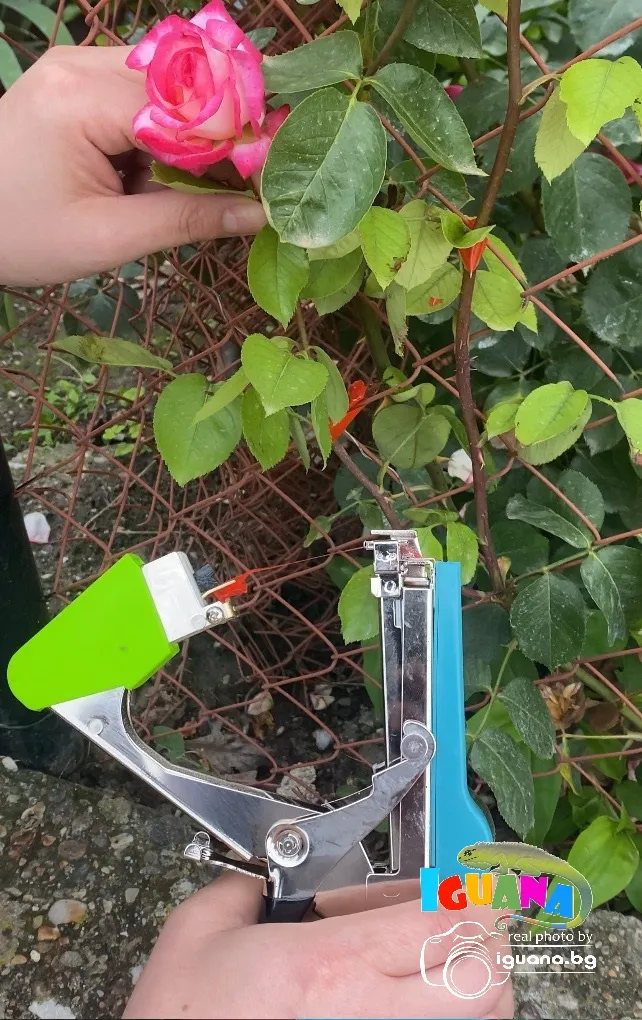 Клещи за привързване на лозя, домати, цветя уред машина с лента телбод 5