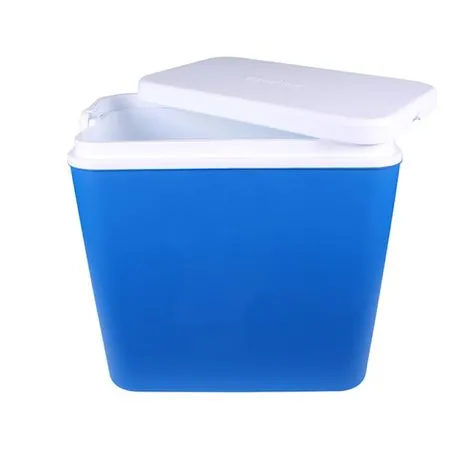 Хладилна кутия 24 L, Пасивна, за храна напитки на плаж, къмпинг и риболов, Синя | IGUANA.BG 3