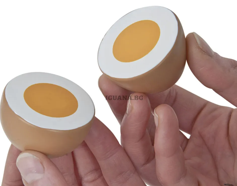 Сет дървени яйца с магнитен механизъм Eichhorn, 10.5 x 16 x 7 см, 7 части 5