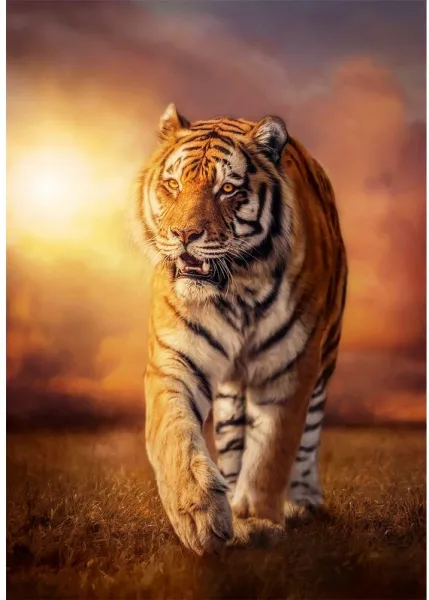 CLEMENTONI 1500 части Пъзел High Quality Collection Tiger/Тигър 1