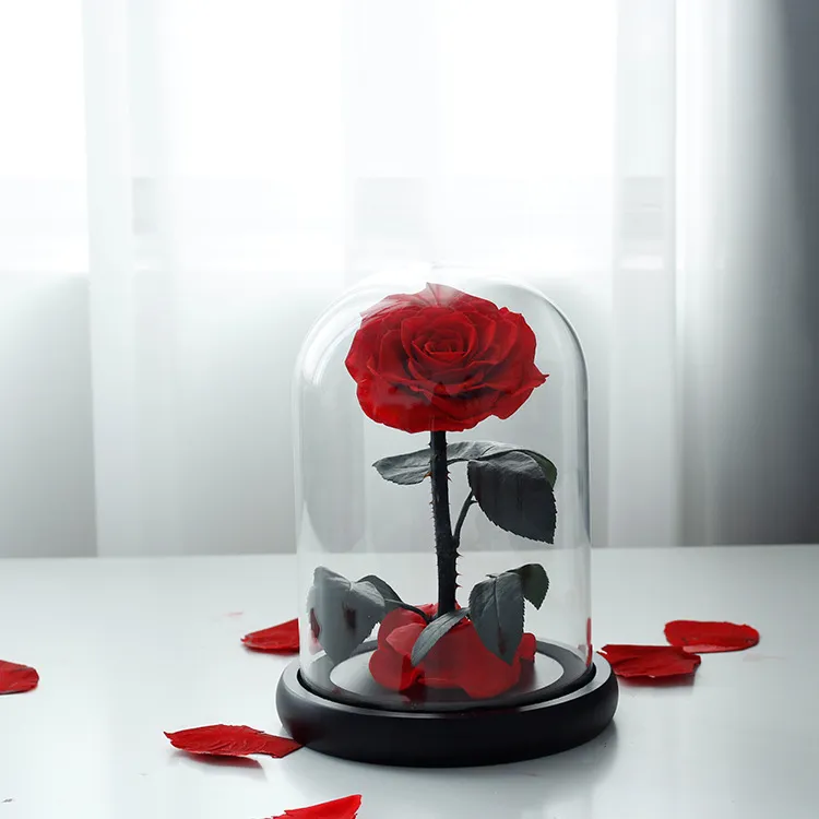 Вечна - неувяхваща ИЗКУСТВЕНА роза в стъкленица, Оригинален и стилен подарък за Жена | IGUANA.BG 4