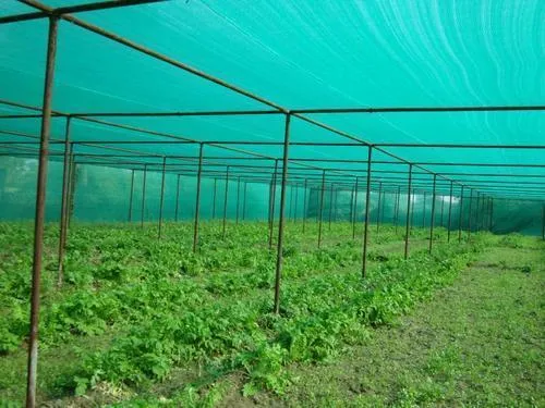 Засенчваща зелена оградна мрежа, 85% фактор с UV защита, Ширина от 1м до 4м, Дължина от 10м до 100метра | iguana.bg 7