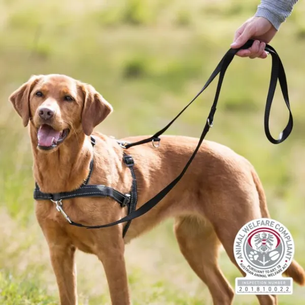 Trixie Training Harness Lead'n'Walk Soft Medium - Large - Регулируем тренировъчен повод/ колан за кучета, с неопренова подплата 55-60см. - Черен
