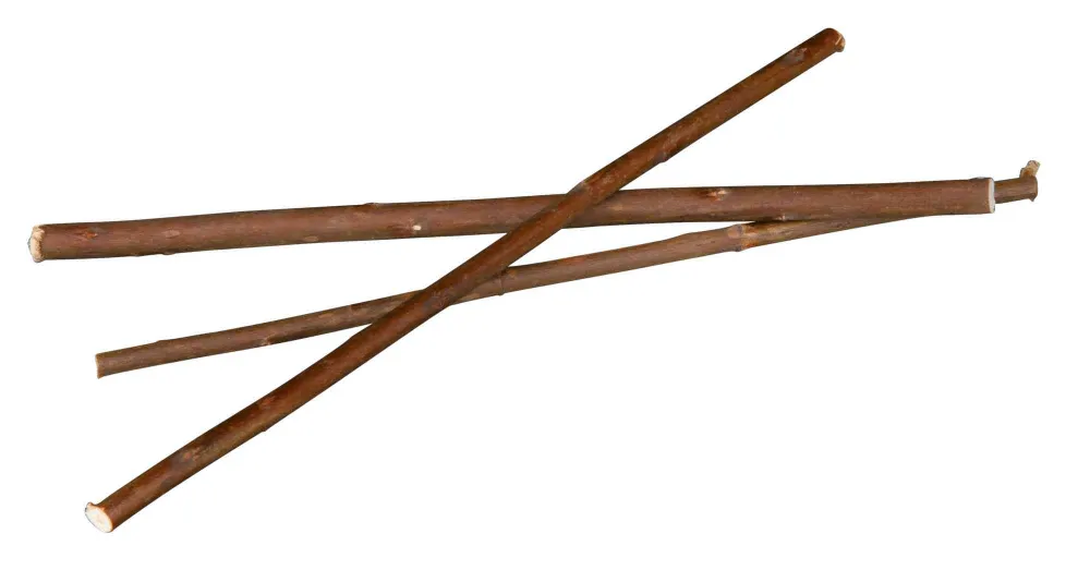 Върбови пръчки