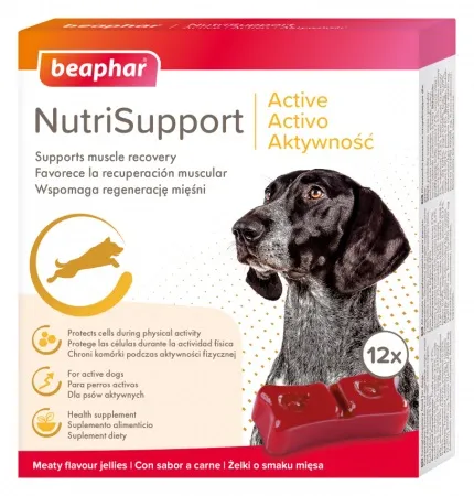 Beaphar NutriSupport Active Dog - Желирани капсули за активни и малки кучета - 12бр.