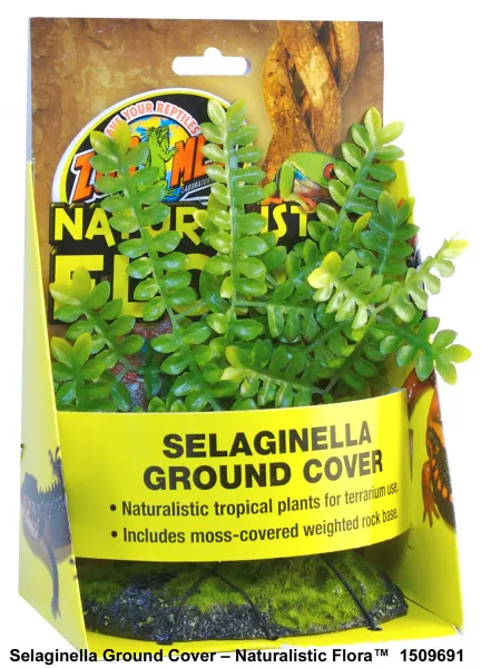 Терариумно растение Zoo-Med - Naturalistic Flora™- Sеlaginella Graund Cover с тежка основа от Zoo Med, САЩ 1
