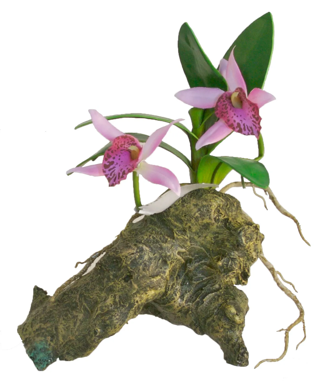 Терариумно растение Zoo-Med - Naturalistic Flora™ Orchid with rock 20см., с мъх, с тежка основа от Zoo Med, САЩ 2