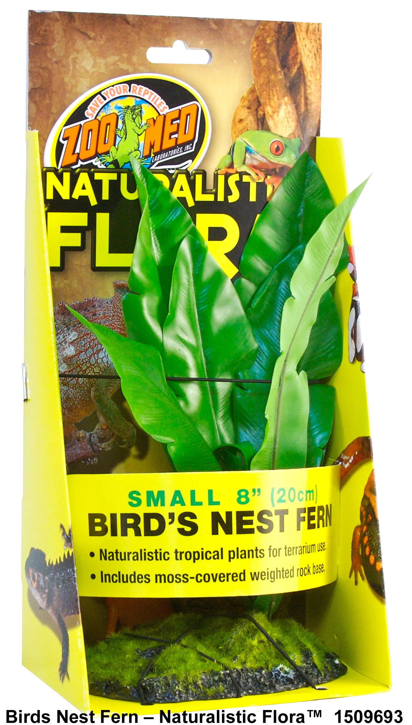 Терариумно растение Zoo-Med - Naturalistic Flora™ Bird Nest Fern 20см. с тежка основа от Zoo Med, САЩ 1