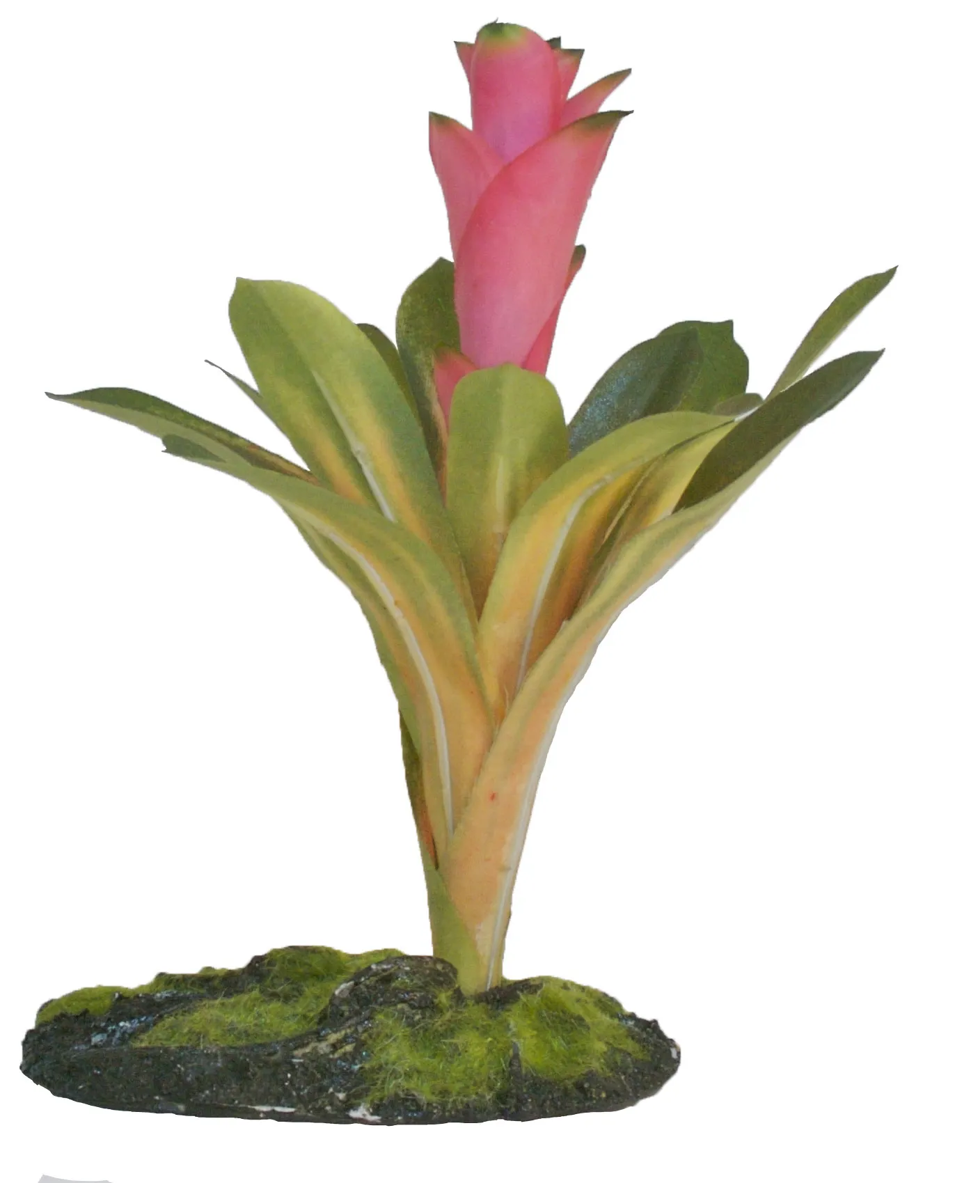 Терариумно растение Zoo-Med - Naturalistic Flora™ Cryptаnihus Bromeliad 20см. с тежка основа от Zoo Med, САЩ 2
