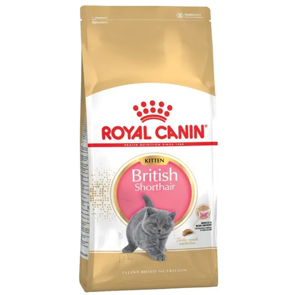 ﻿Royal Canin British Shorthair Kitten - суха храна за малки котенца до 12 месеца от породата Британска късокосместа - 2кг.