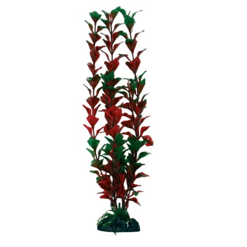 Croci Ludwigia XL - Растение За Аквариум