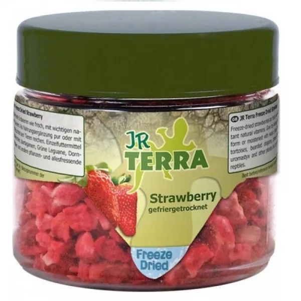 JR Terra Freeze Dried Strawberry - Индивидуална Храна - Изсушени И Нарязани Ягоди - 10гр.