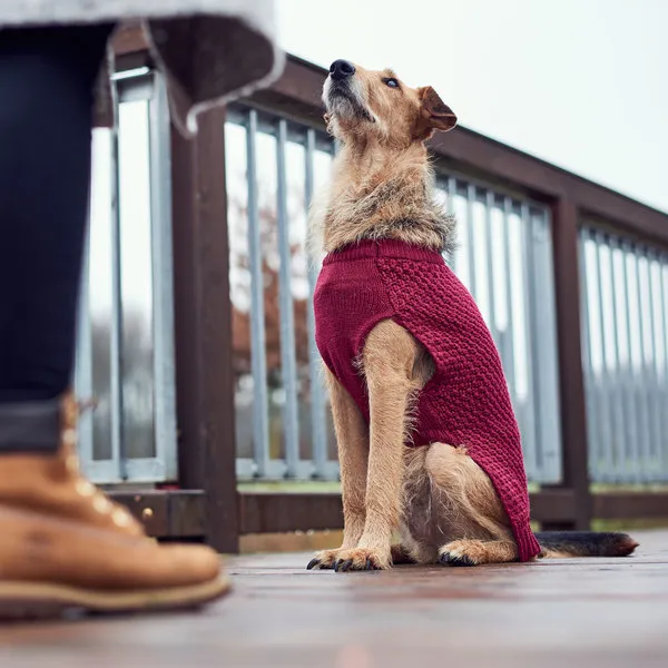 HUNTER Malmö - Пуловер за Кучета в Различни Цветове - 35см. 1