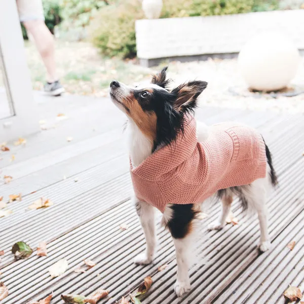 HUNTER Rögla - Пуловер за Кучета с Качулка в Различни Цветове - 35см. 1