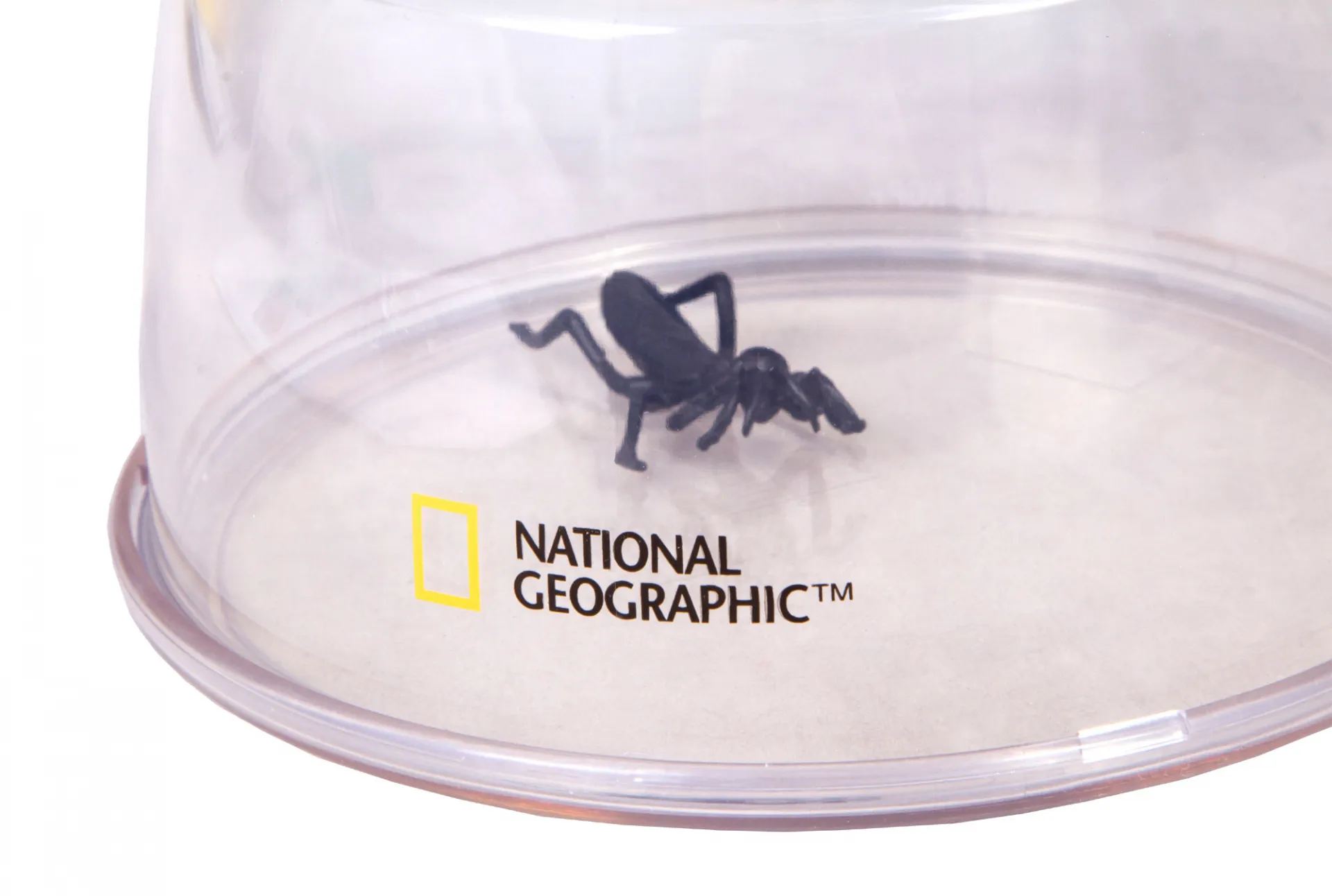 Кутия за насекоми Bresser National Geographic 5xXXL 3