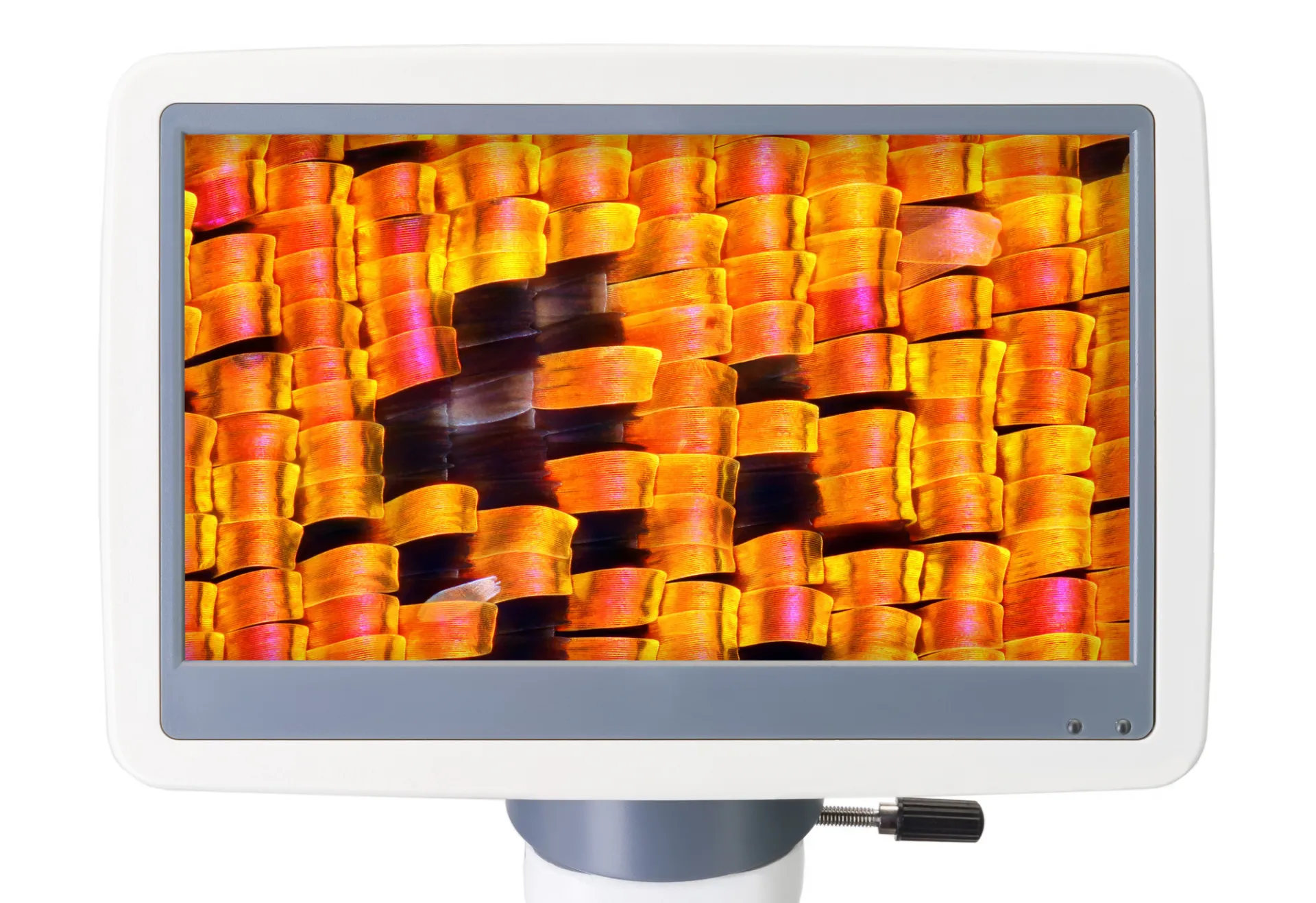 Цифров микроскоп Levenhuk D95L LCD 4