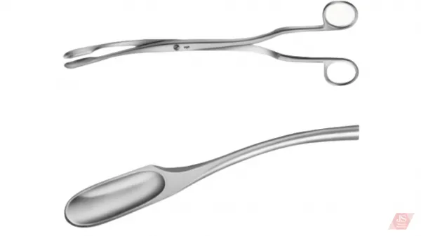 Foerster Forceps 28 cm 1