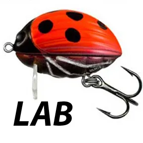 Salmo Lil Bug 2 Floating - Плуващ Воблер 4