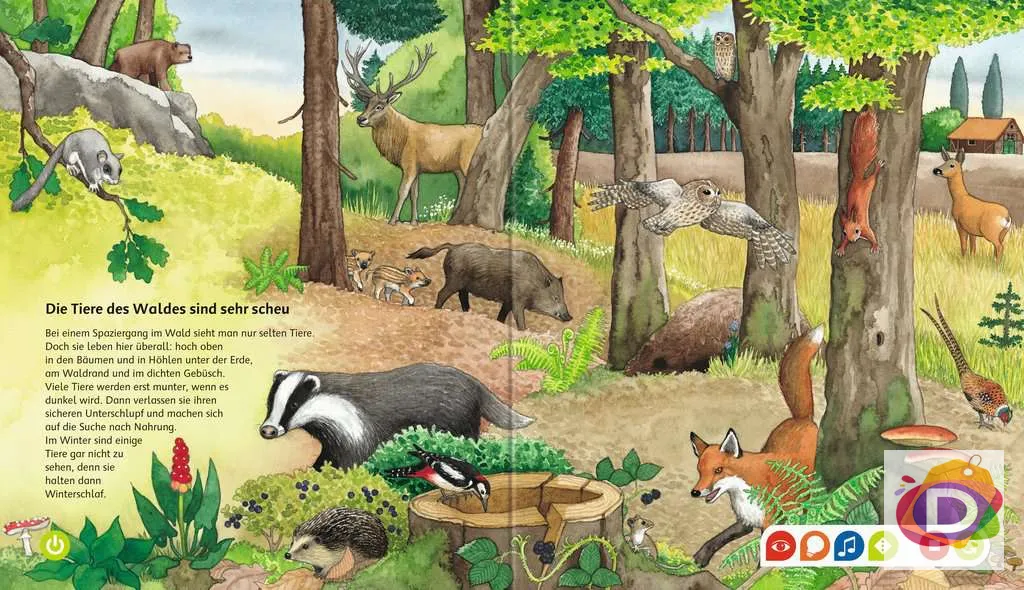Ravensburger Комплект интерактивна книга Животните в джунглата + интерактивна музикална игра и писалка (на немски език) 3