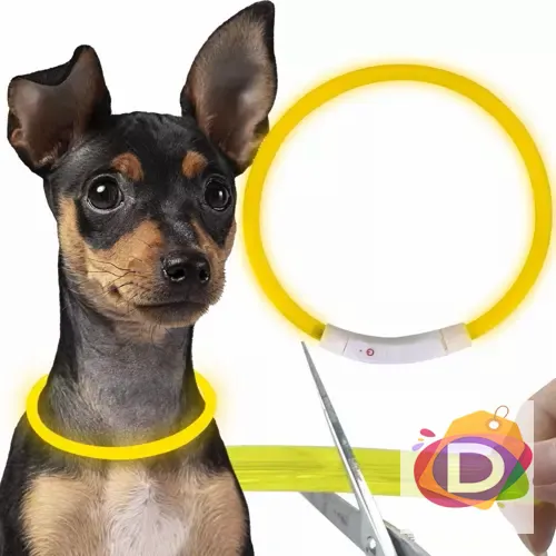 Светещ нашийник за кучета с USB кабел за зареждане - Код D1900 1