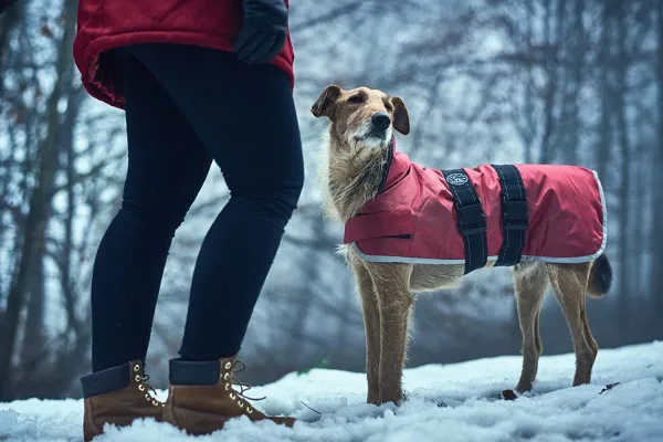 Палто за кучета Hunter,водоустойчиво, светлоотразяващо, сиво, 40 см 1