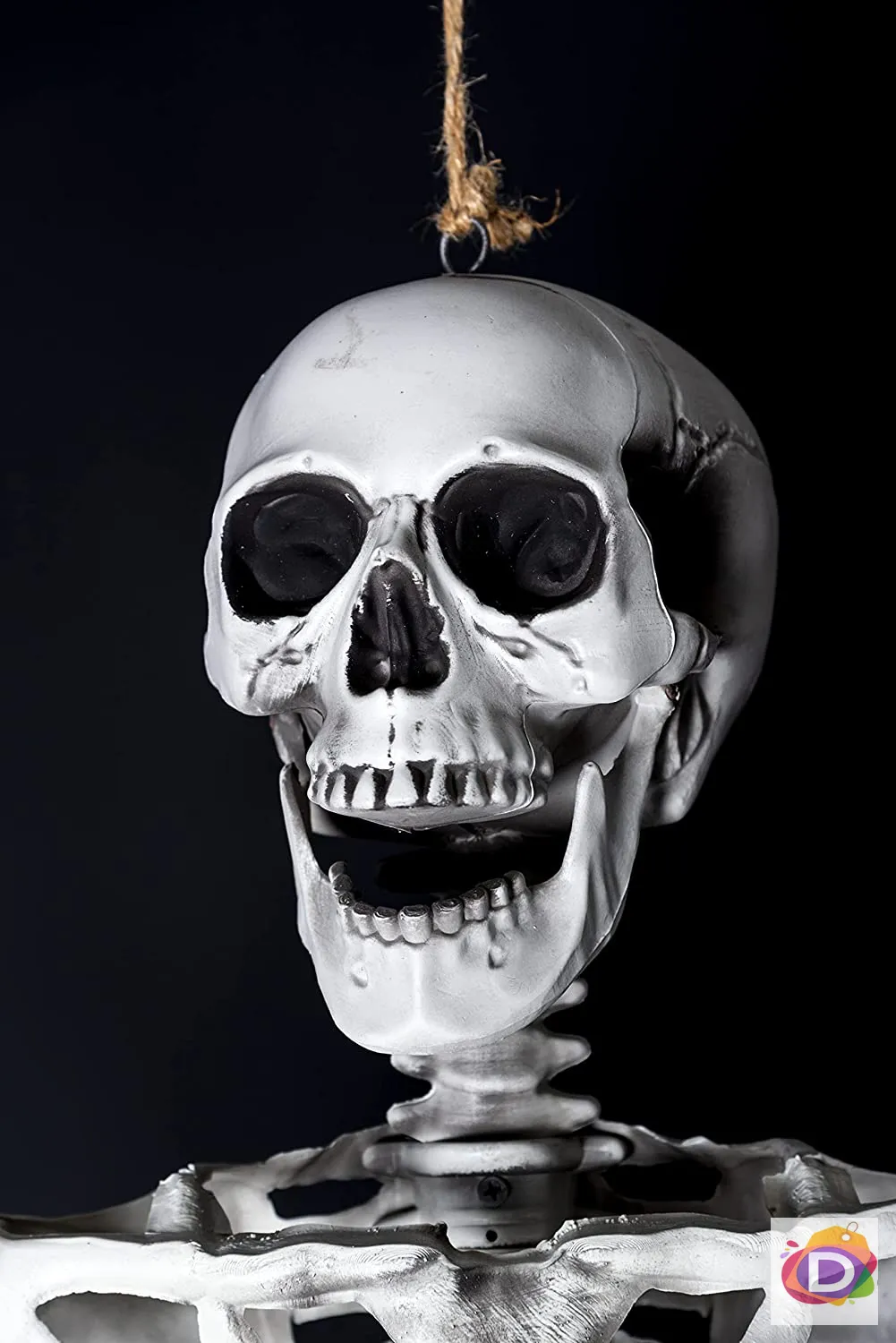 Скелет 165 см подвижен SHATCHI  - Danysgame.com 3