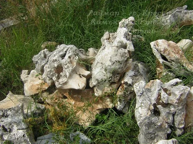 Декоративен камък за алпинеум 6
