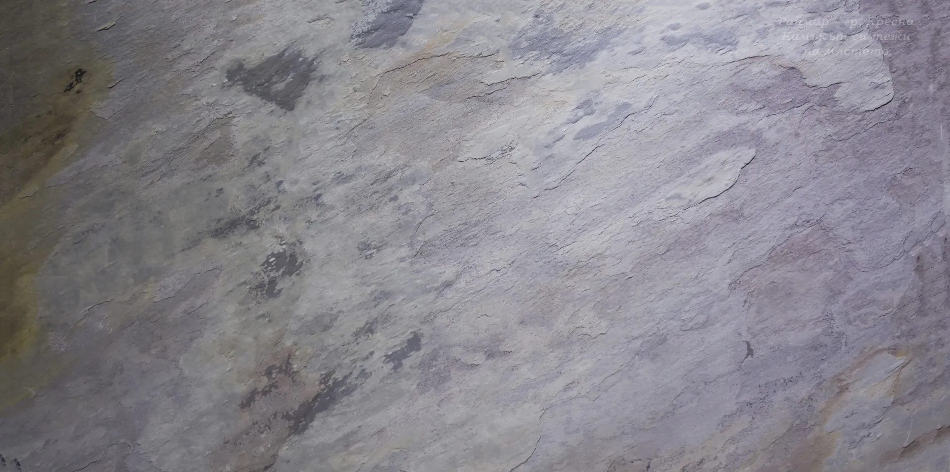 Есен в бяло | Каменни тапети SKIN 122 х 61 см (тънък, гъвкав, естествен камък) 2