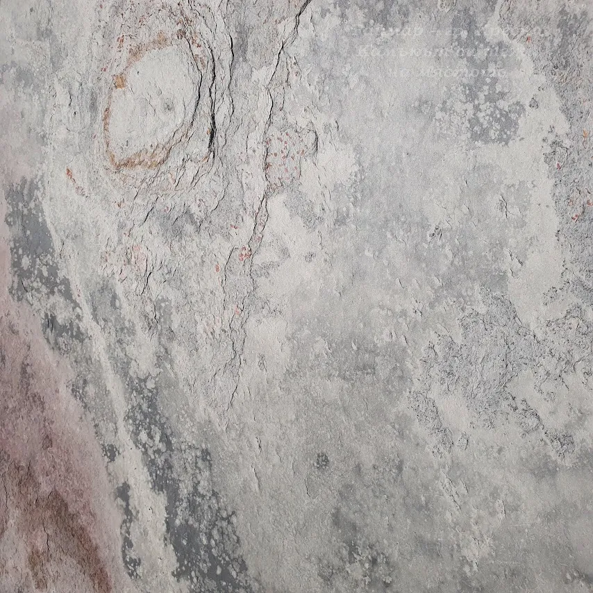 Есен в бяло | Каменни тапети SKIN 122 х 61 см (тънък, гъвкав, естествен камък) 1