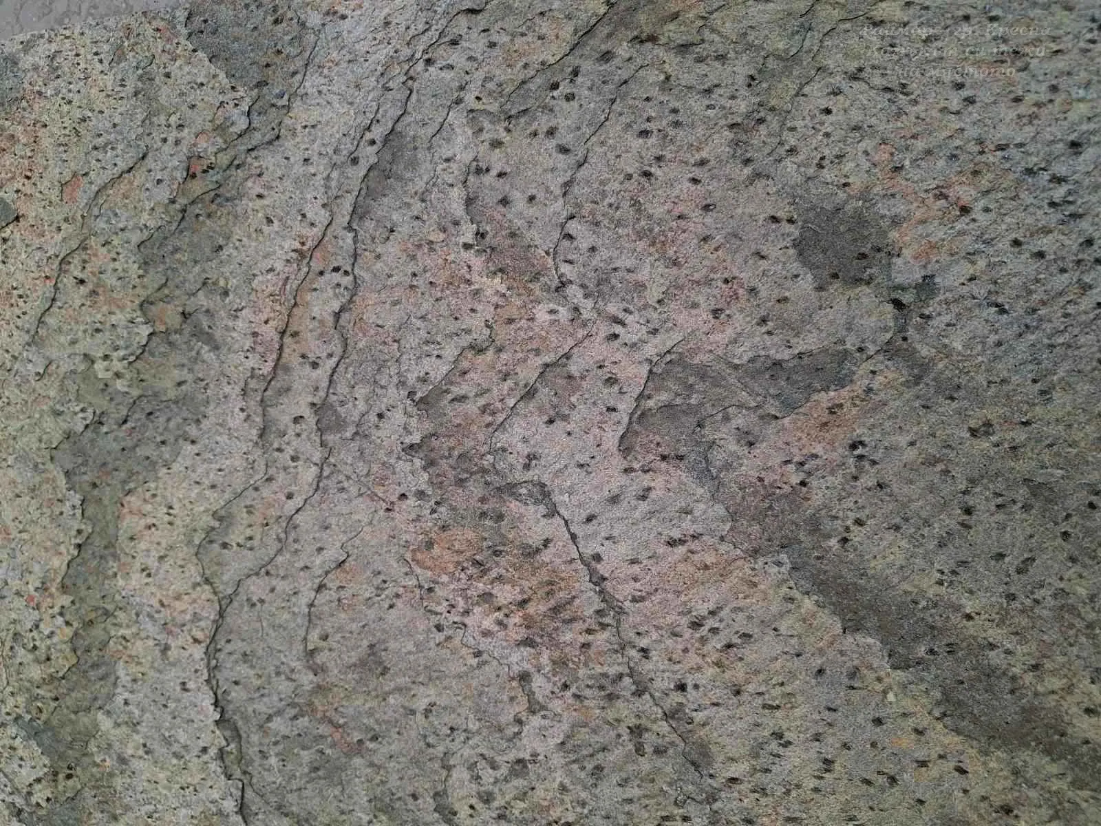 Джера зелено | Каменни тапети SKIN 122 х 61 см (тънък, гъвкав, естествен камък) 19