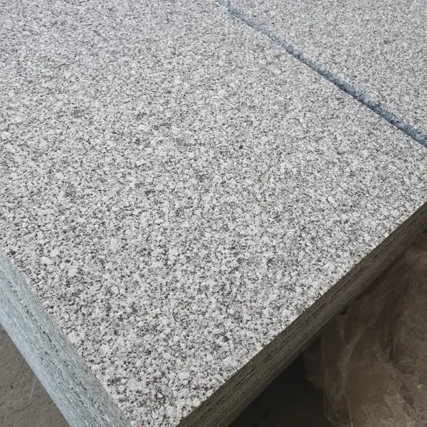 Hera 60х60х3 см | flamed granite