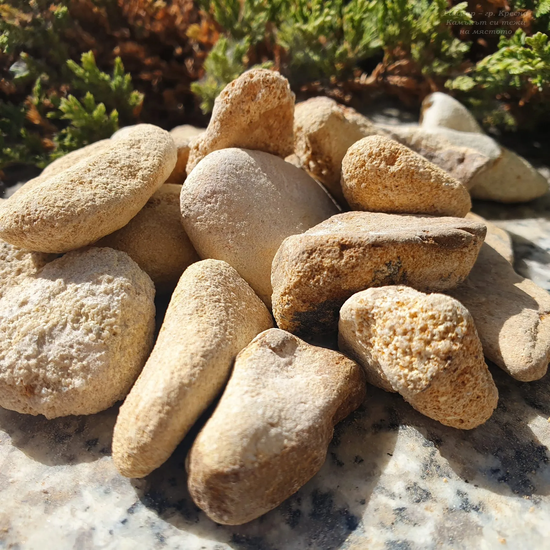 Beige oval pebbles 1-3 cm in bags 5