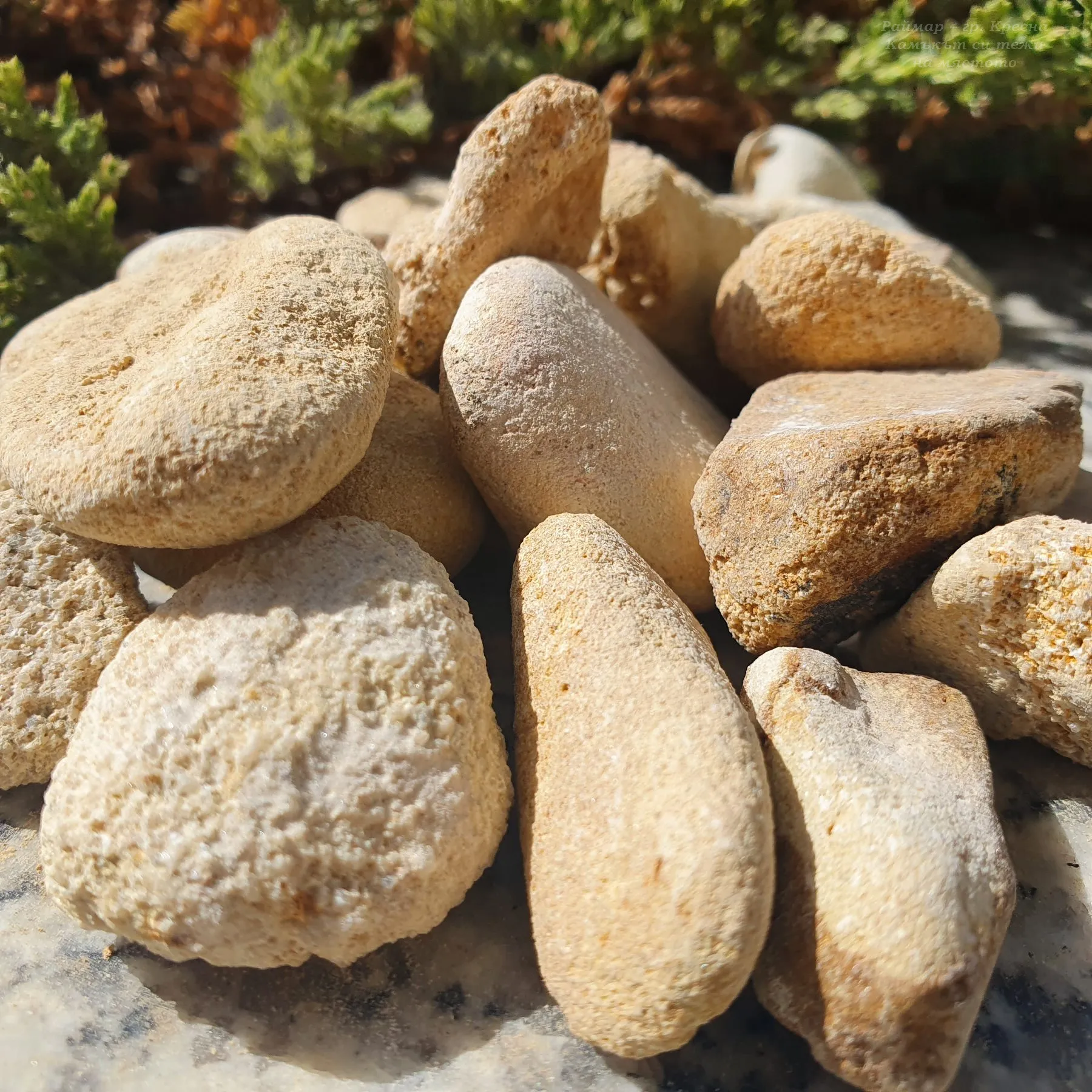 Beige oval pebbles 1-3 cm in bags 1