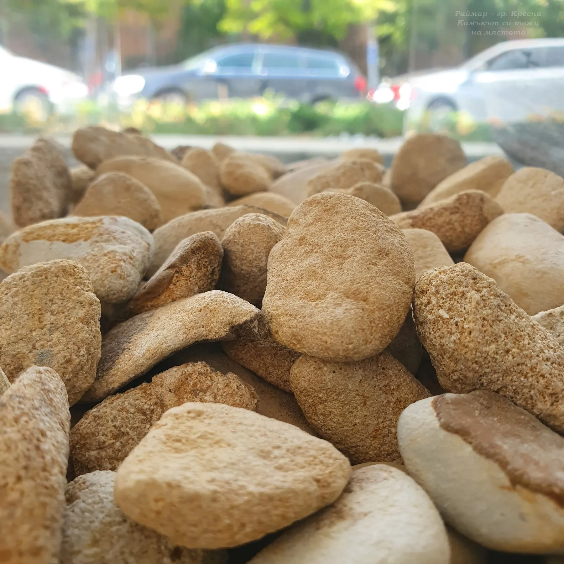 Beige oval pebbles 1-3 cm in bags 8