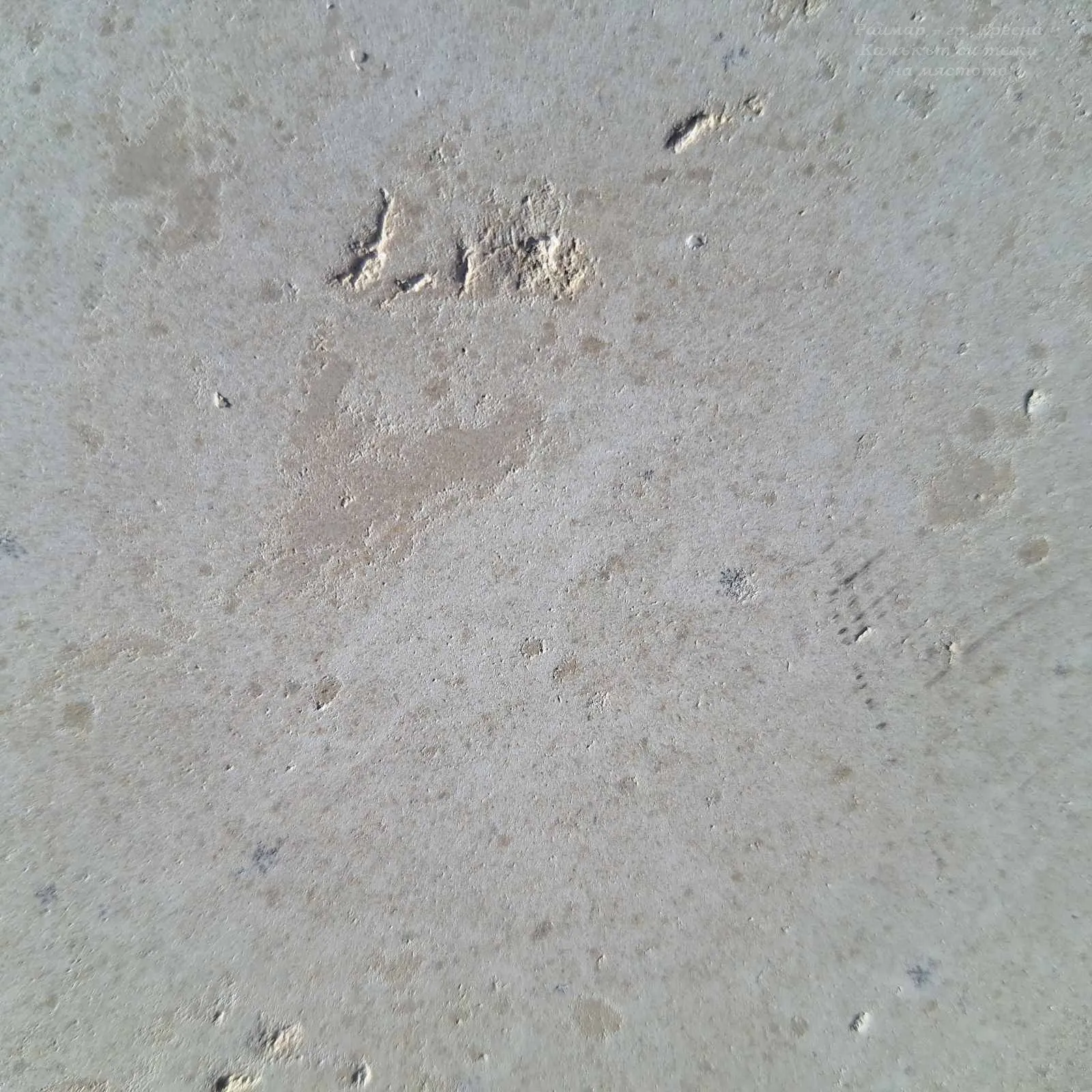 Vratsa | Brushed limestone | Cut-to-size 1