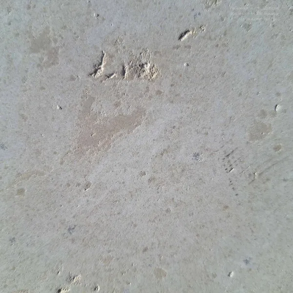 Vratsa | Brushed limestone | Cut-to-size 1