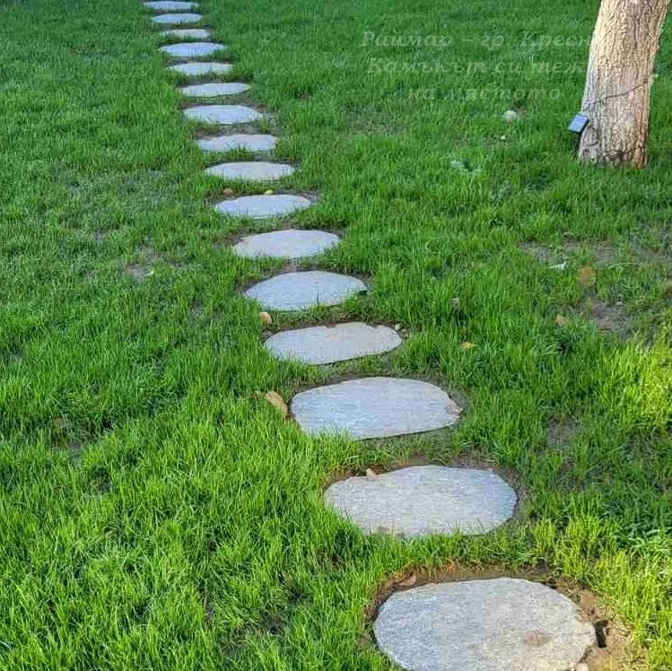 Stepping stones for pathways 1